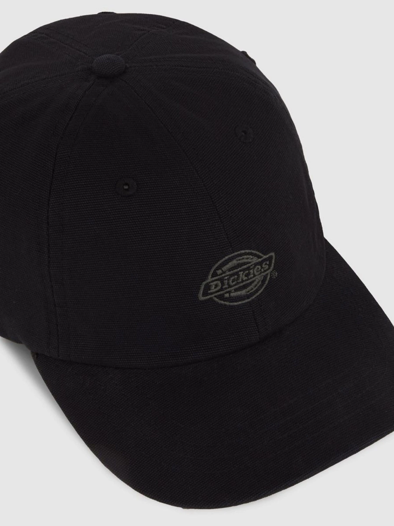 Шапки и кепки Dickies модель DK0A87NFBLK1 Шапки и кепки Dickies модель DK0A87NFBLK1 Фото
