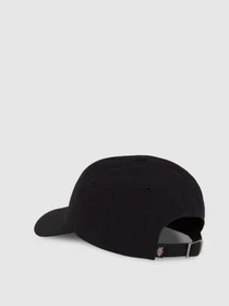 Шапки и кепки Dickies модель DK0A87NFBLK1 Фото