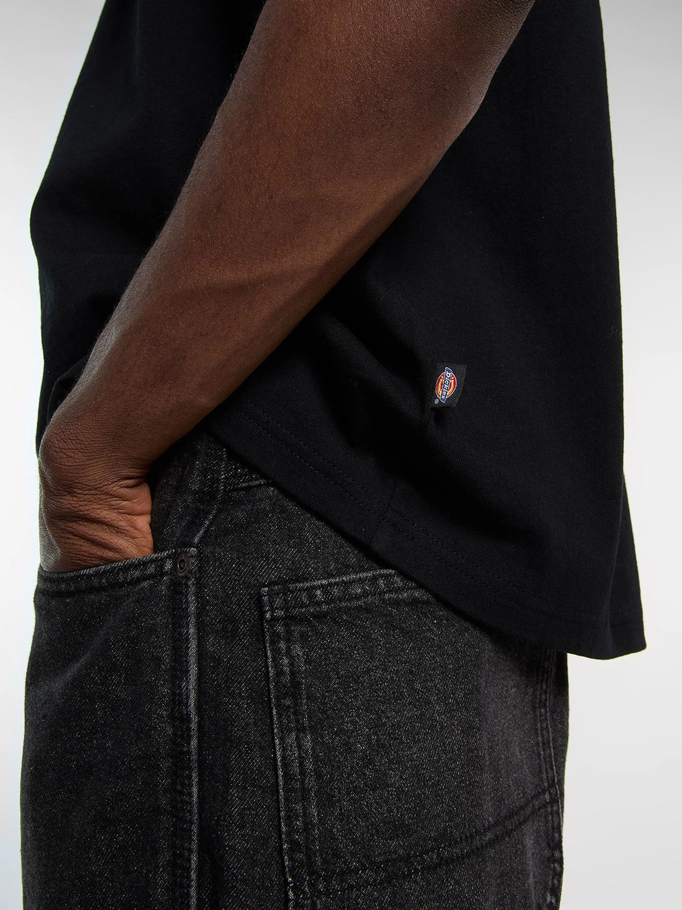 Футболки и поло Dickies модель DK0A88JGBLK1 Футболки и поло Dickies модель DK0A88JGBLK1 Фото