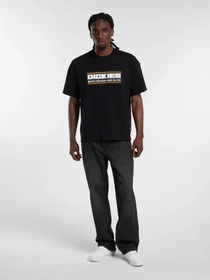 Футболки и поло Dickies модель DK0A88JGBLK1 Фото