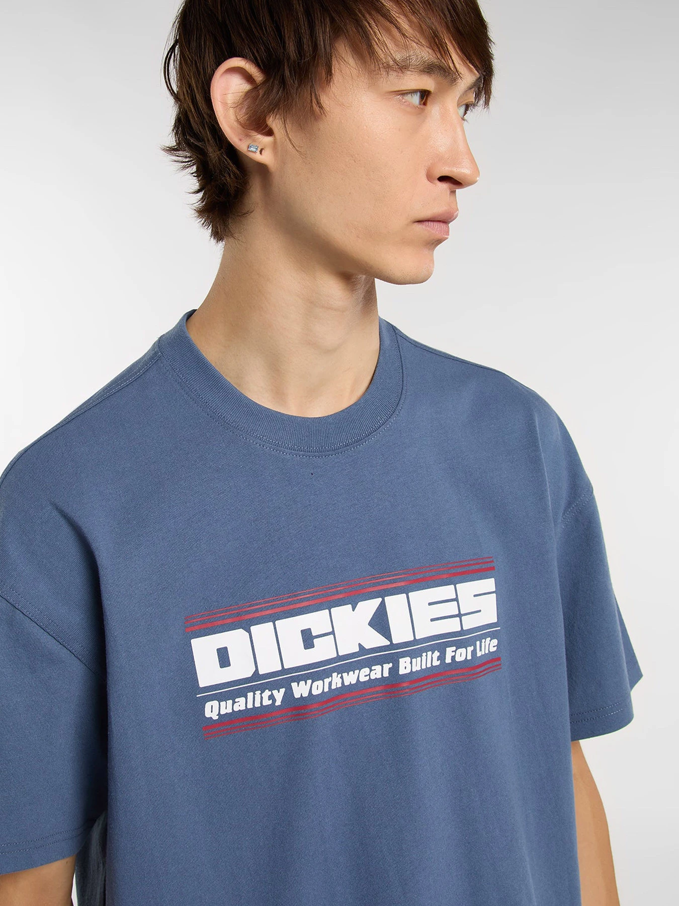 Футболки и поло Dickies модель DK0A88JGRI21 Футболки и поло Dickies модель DK0A88JGRI21 Фото