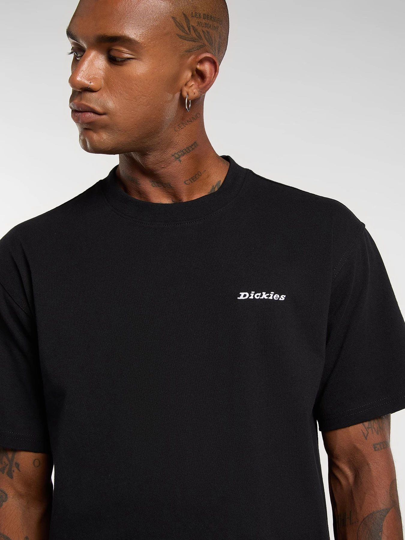 Футболки и поло Dickies модель DK0A89ENBLK1 Футболки и поло Dickies модель DK0A89ENBLK1 Фото