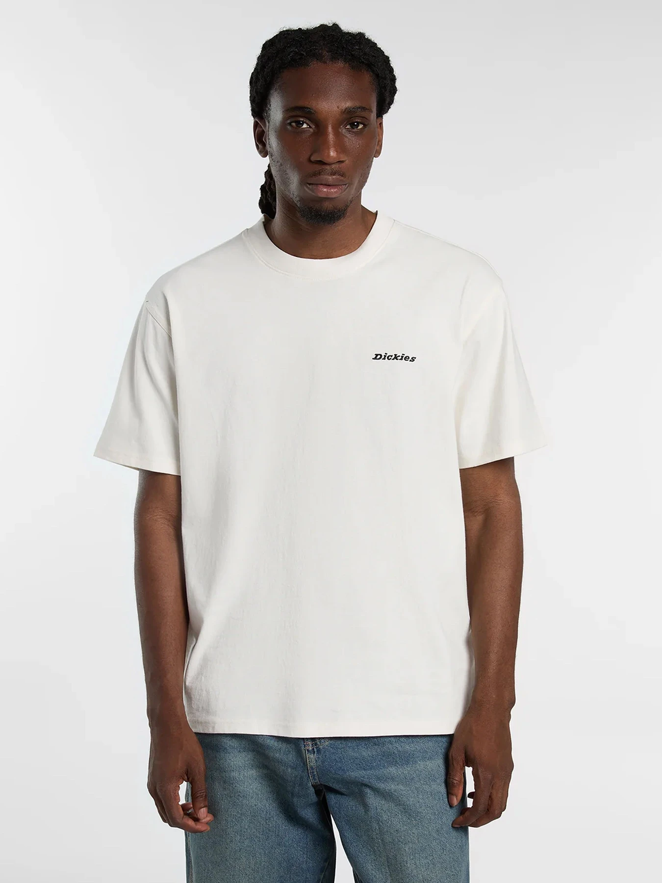 Футболки и поло Dickies модель DK0A89ENECR1 Футболки и поло Dickies модель DK0A89ENECR1 Фото
