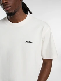 Футболки и поло Dickies модель DK0A89ENECR1 Фото