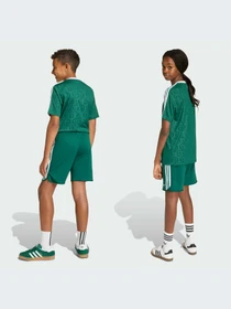 Шорты Adidas модель KC8445-KZ Фото