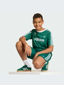 Шорты Adidas модель KC8445-KZ Фото