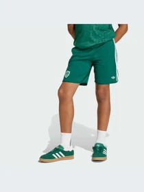 Шорты Adidas модель KC8445-KZ Фото