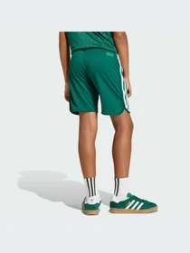 Шорты Adidas модель KC8445-KZ Фото