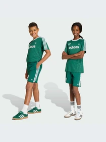 Шорты Adidas модель KC8445-KZ Фото