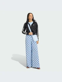 Брюки Adidas Adicolor модель KV1170-KZ Фото