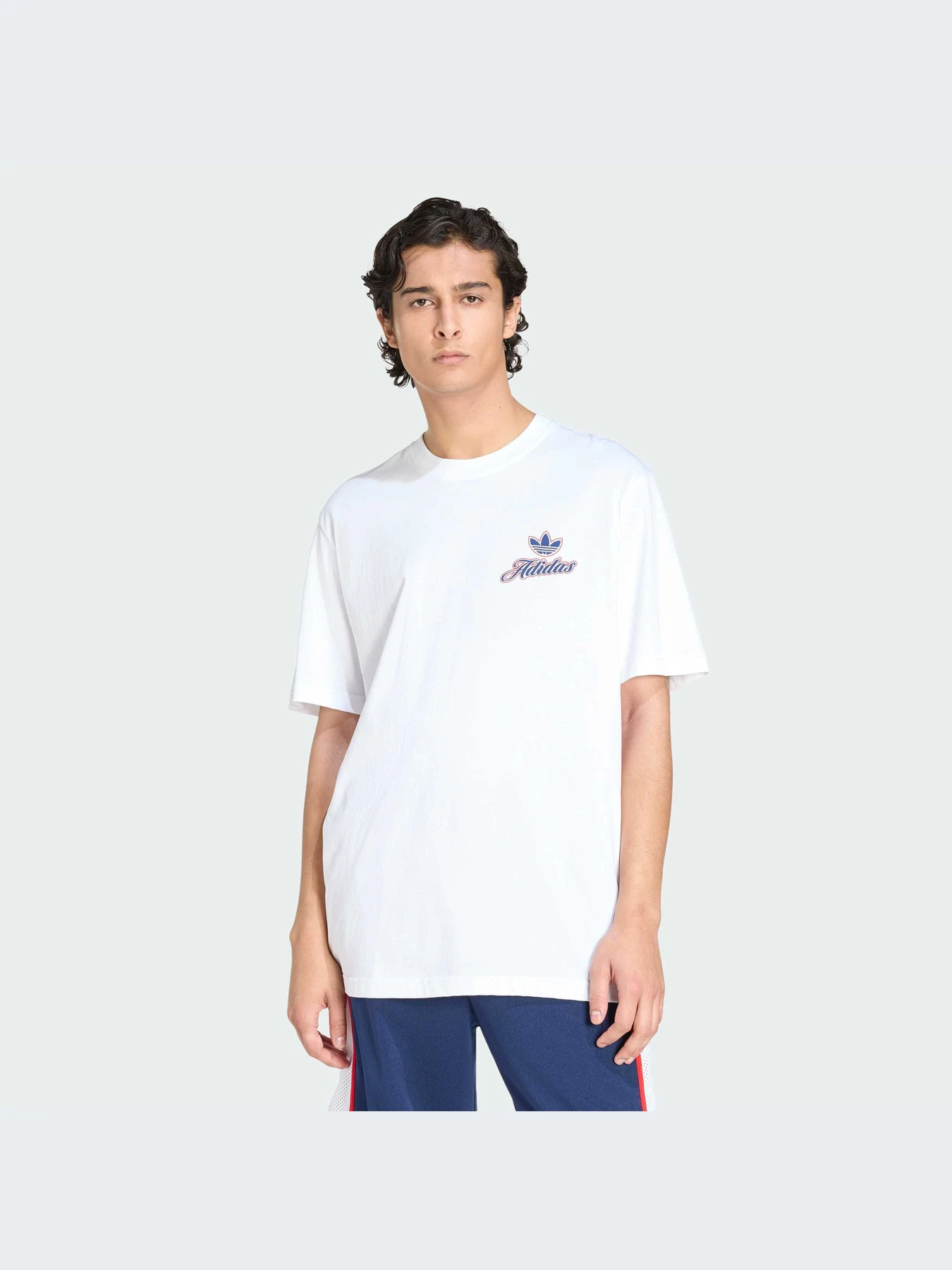 Футболки и поло Adidas Graphics модель KE2248-KZ Футболки и поло Adidas Graphics модель KE2248-KZ Фото
