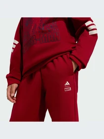 Костюмы Adidas модель JZ7666-KZ Фото