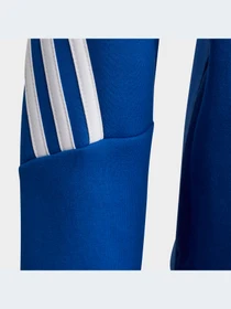 Худи и свитшоты Adidas модель HN6173-KZ Фото