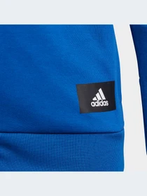Худи и свитшоты Adidas модель HN6173-KZ Фото