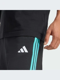 Шорты Adidas модель KE5912-KZ Фото