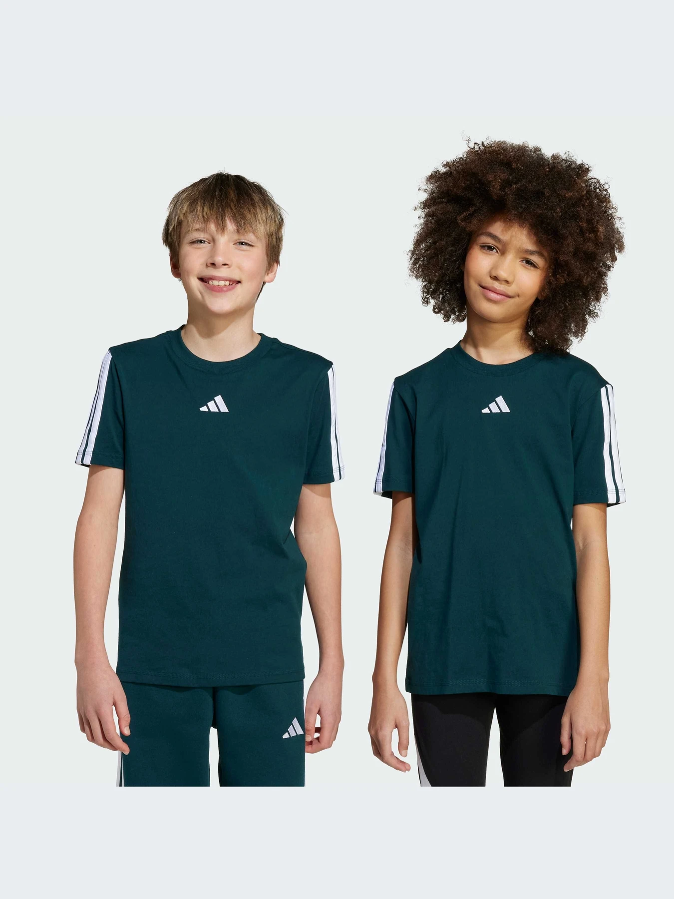 Футболки и поло Adidas Adidas Essentials модель JY4969-KZ Футболки и поло Adidas Adidas Essentials модель JY4969-KZ Фото