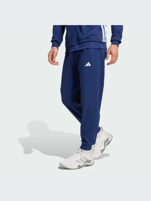 Брюки Adidas Adidas Essentials модель KD2840-KZ Фото