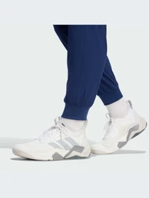 Брюки Adidas Adidas Essentials модель KD2840-KZ Фото