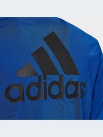 Костюмы Adidas Adidas Essentials модель HN1918-KZ Фото