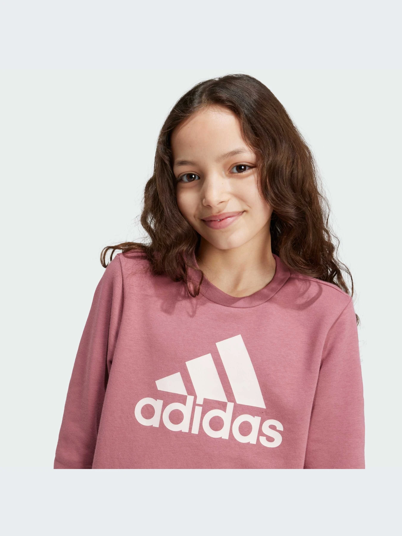 Худи и свитшоты Adidas Adidas Essentials модель IZ3434-KZ Худи и свитшоты Adidas Adidas Essentials модель IZ3434-KZ Фото