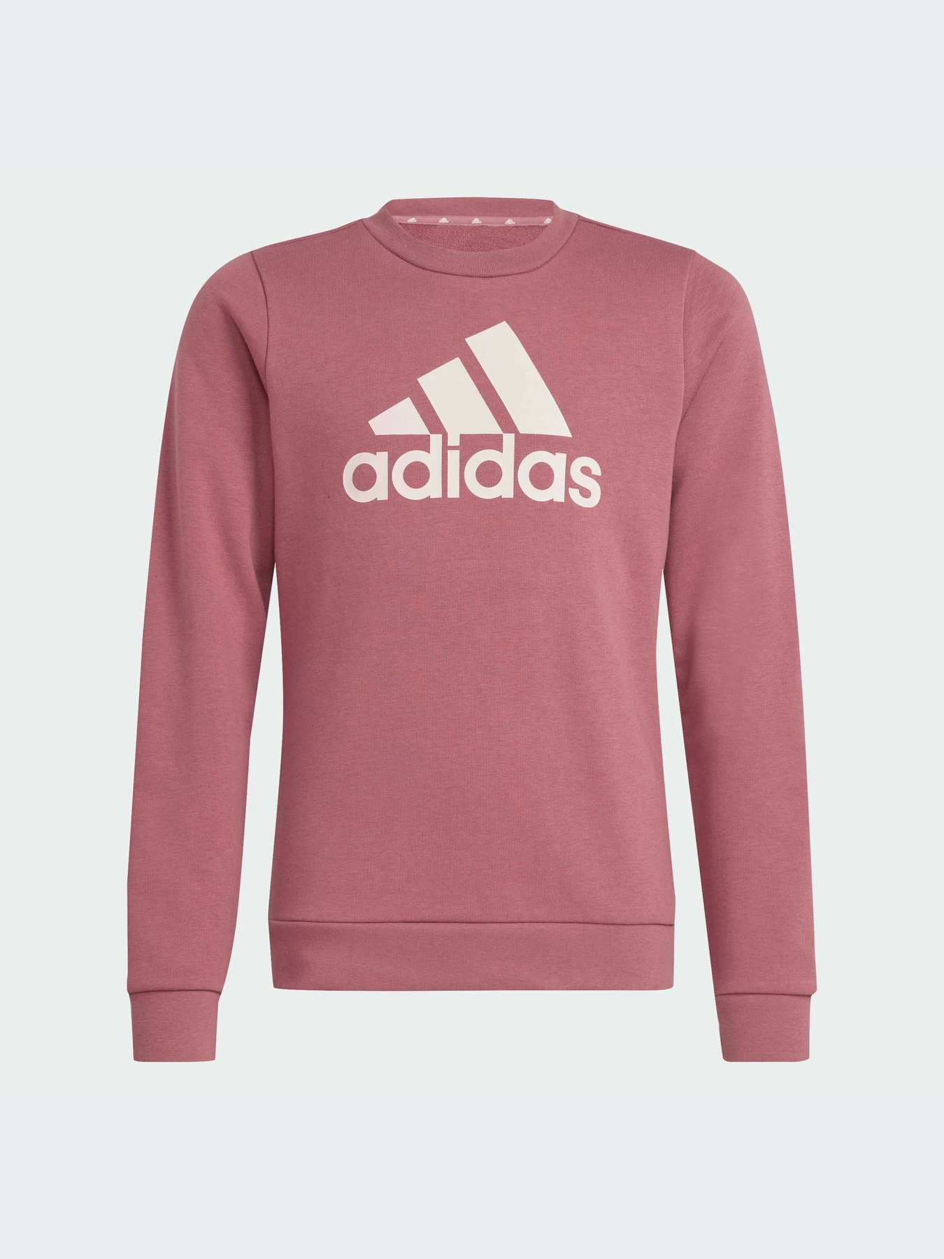 Худи и свитшоты Adidas Adidas Essentials модель IZ3434-KZ Худи и свитшоты Adidas Adidas Essentials модель IZ3434-KZ Фото