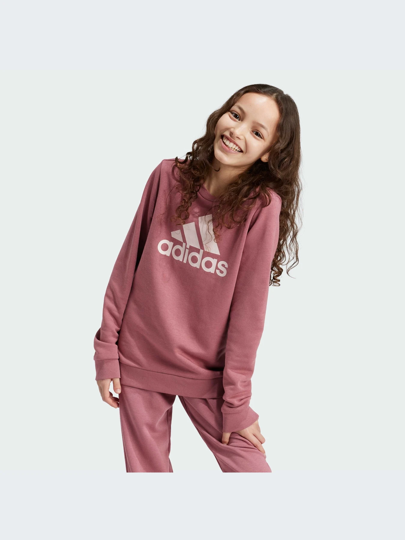 Худи и свитшоты Adidas Adidas Essentials модель IZ3434-KZ Худи и свитшоты Adidas Adidas Essentials модель IZ3434-KZ Фото