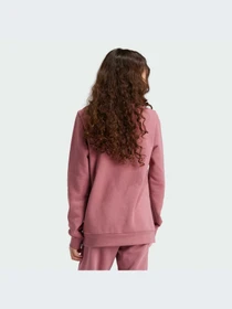Худи и свитшоты Adidas Adidas Essentials модель IZ3434-KZ Фото