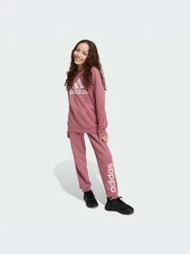 Худи и свитшоты Adidas Adidas Essentials модель IZ3434-KZ Фото