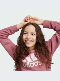 Худи и свитшоты Adidas Adidas Essentials модель IZ3434-KZ Фото