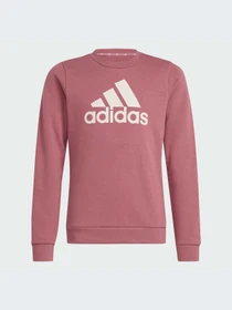 Худи и свитшоты Adidas Adidas Essentials модель IZ3434-KZ Фото