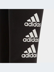Брюки Adidas Adidas Essentials модель FL1802-KZ Фото