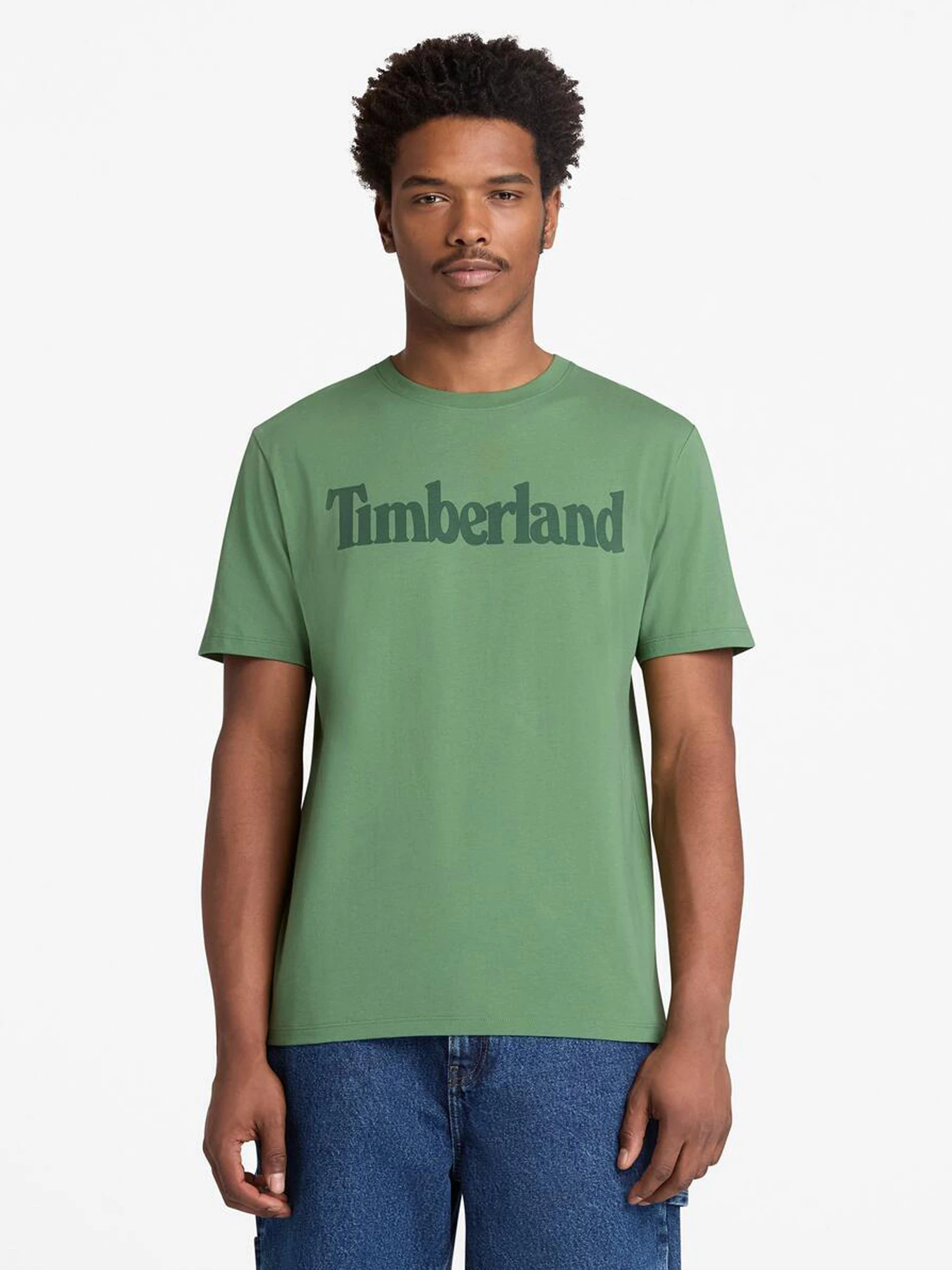 Футболки и поло Timberland модель TB0A2BRNA6Z Футболки и поло Timberland модель TB0A2BRNA6Z Фото
