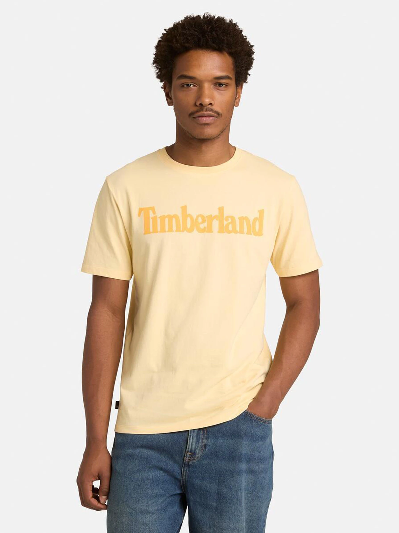 Футболки и поло Timberland модель TB0A2BRNA7K Футболки и поло Timberland модель TB0A2BRNA7K Фото