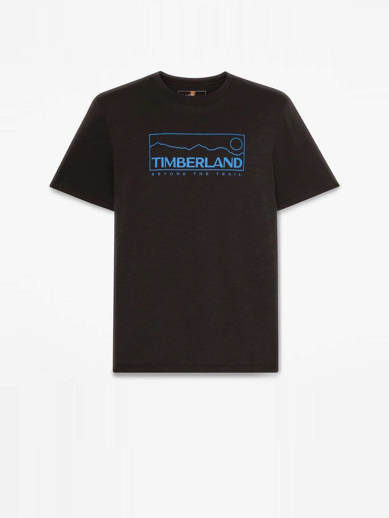 Футболки и поло Timberland модель TB0A41XF001 Футболки и поло Timberland модель TB0A41XF001 Фото