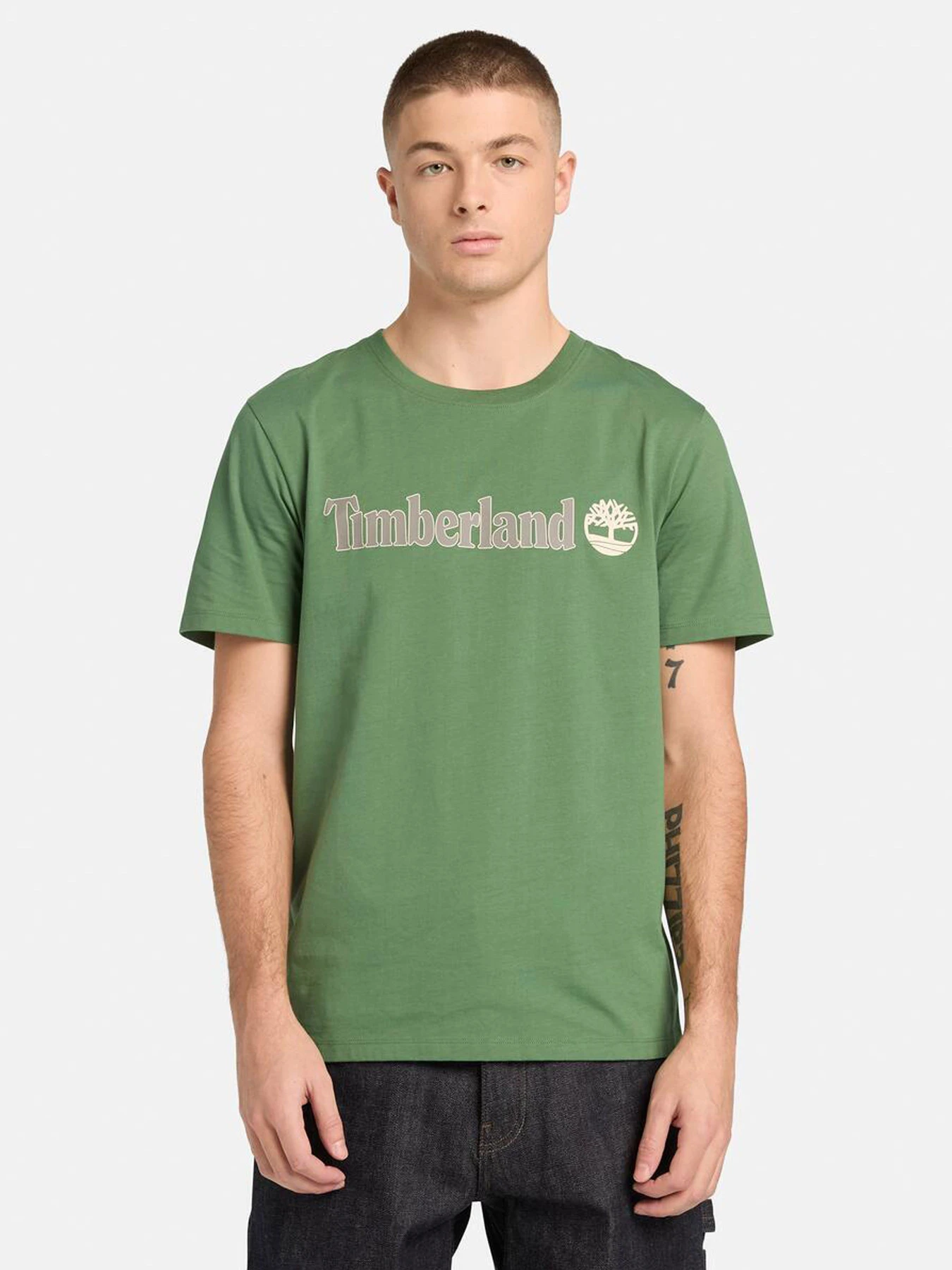 Футболки и поло Timberland модель TB0A5UPQA6Z Футболки и поло Timberland модель TB0A5UPQA6Z Фото