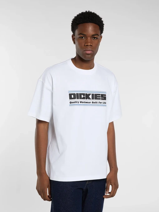 Футболки и поло Dickies модель DK0A88JGWHX1 Фото
