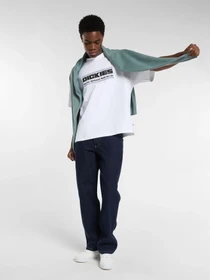 Футболки и поло Dickies модель DK0A88JGWHX1 Фото