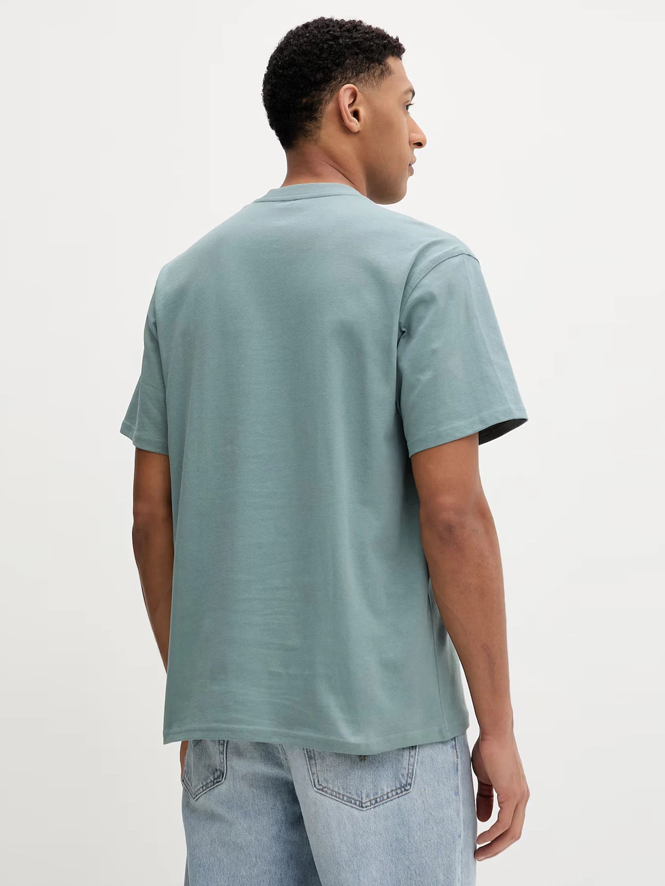 Футболки и поло Dickies модель DK0A89ENL371 Футболки и поло Dickies модель DK0A89ENL371 Фото