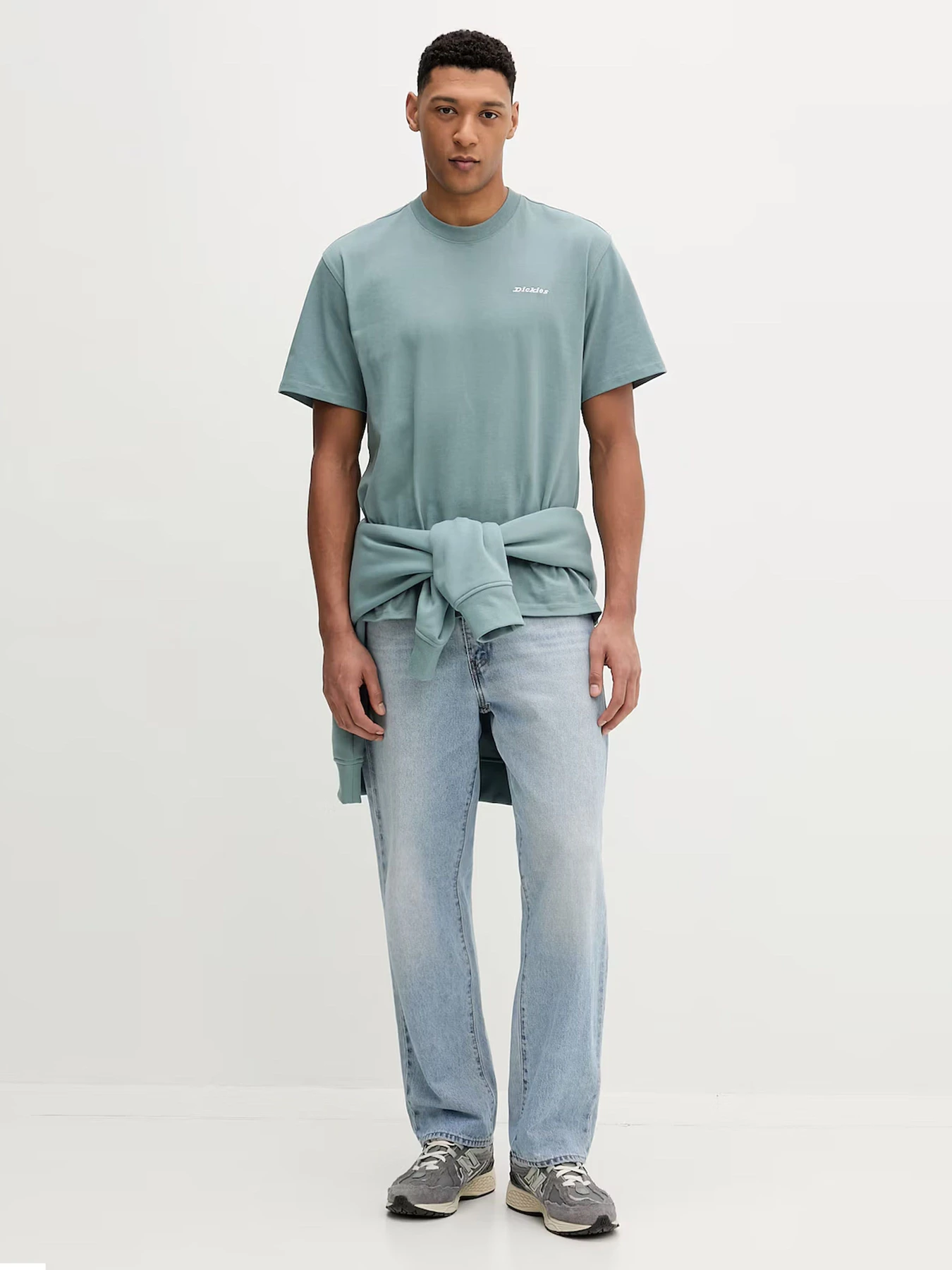 Футболки и поло Dickies модель DK0A89ENL371 Футболки и поло Dickies модель DK0A89ENL371 Фото