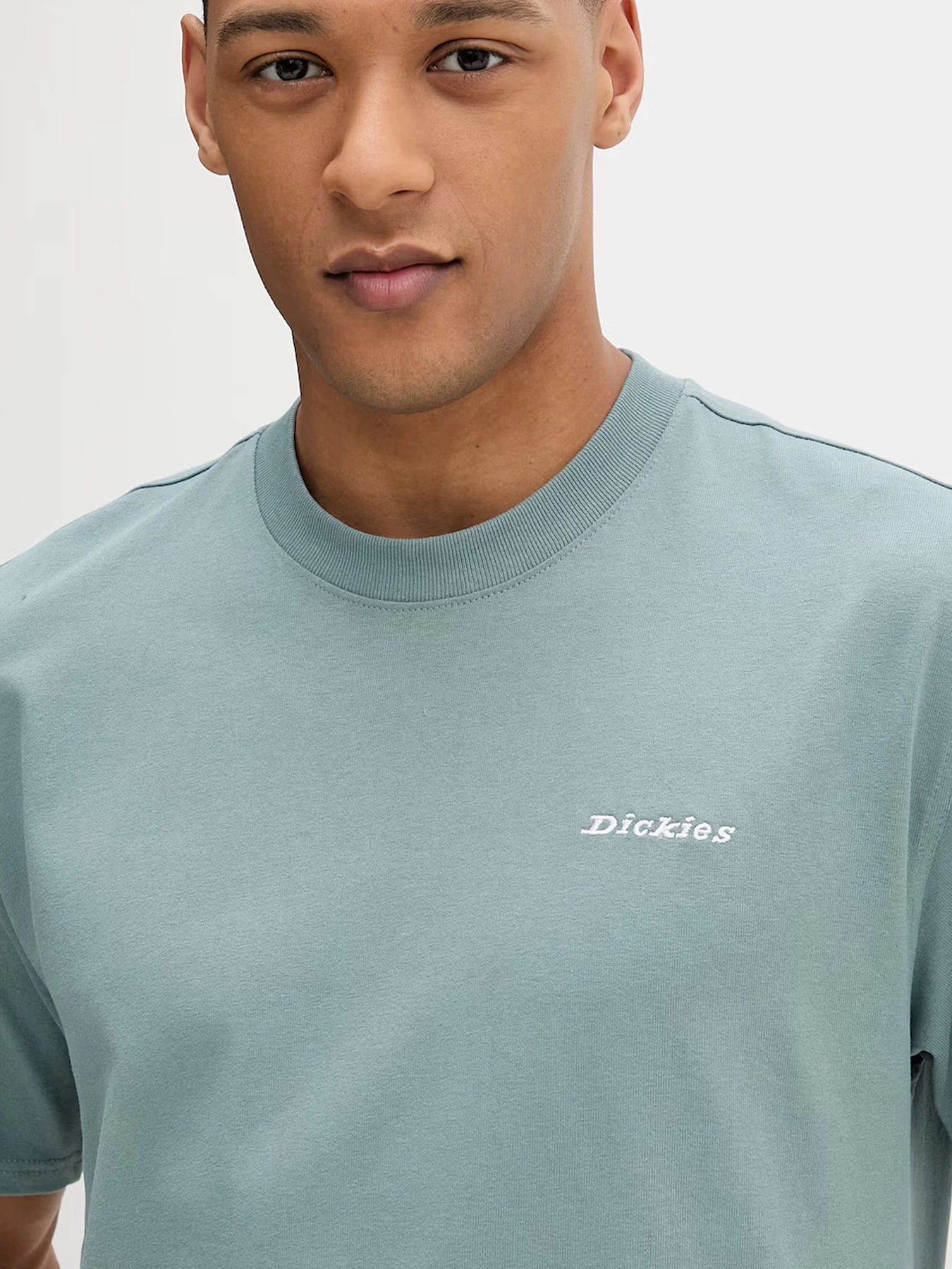 Футболки и поло Dickies модель DK0A89ENL371 Футболки и поло Dickies модель DK0A89ENL371 Фото