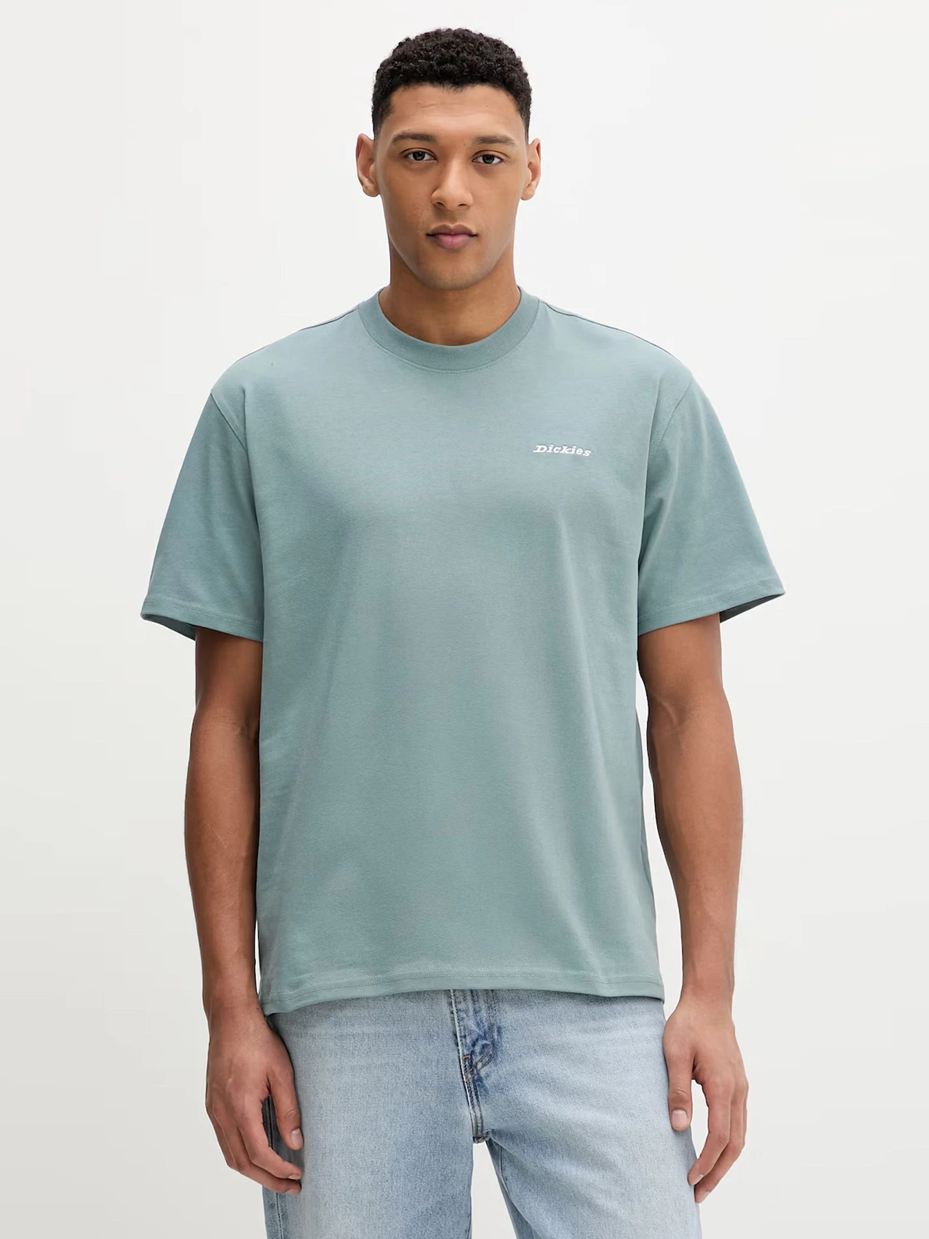 Футболки и поло Dickies модель DK0A89ENL371 Футболки и поло Dickies модель DK0A89ENL371 Фото
