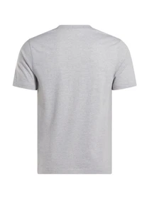 Футболки и поло Reebok CODY SL CREW NECK SS TEE модель 102247818 Фото