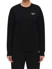 Худи и свитшоты Reebok ID SMALL LOGO FRENCH TERR модель 102314866 Фото