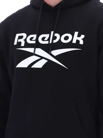 Худи и свитшоты Reebok VICTOR BIG LOGO PULLOVER модель 102248296 Фото