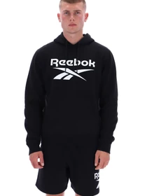 Худи и свитшоты Reebok VICTOR BIG LOGO PULLOVER модель 102248296 Фото