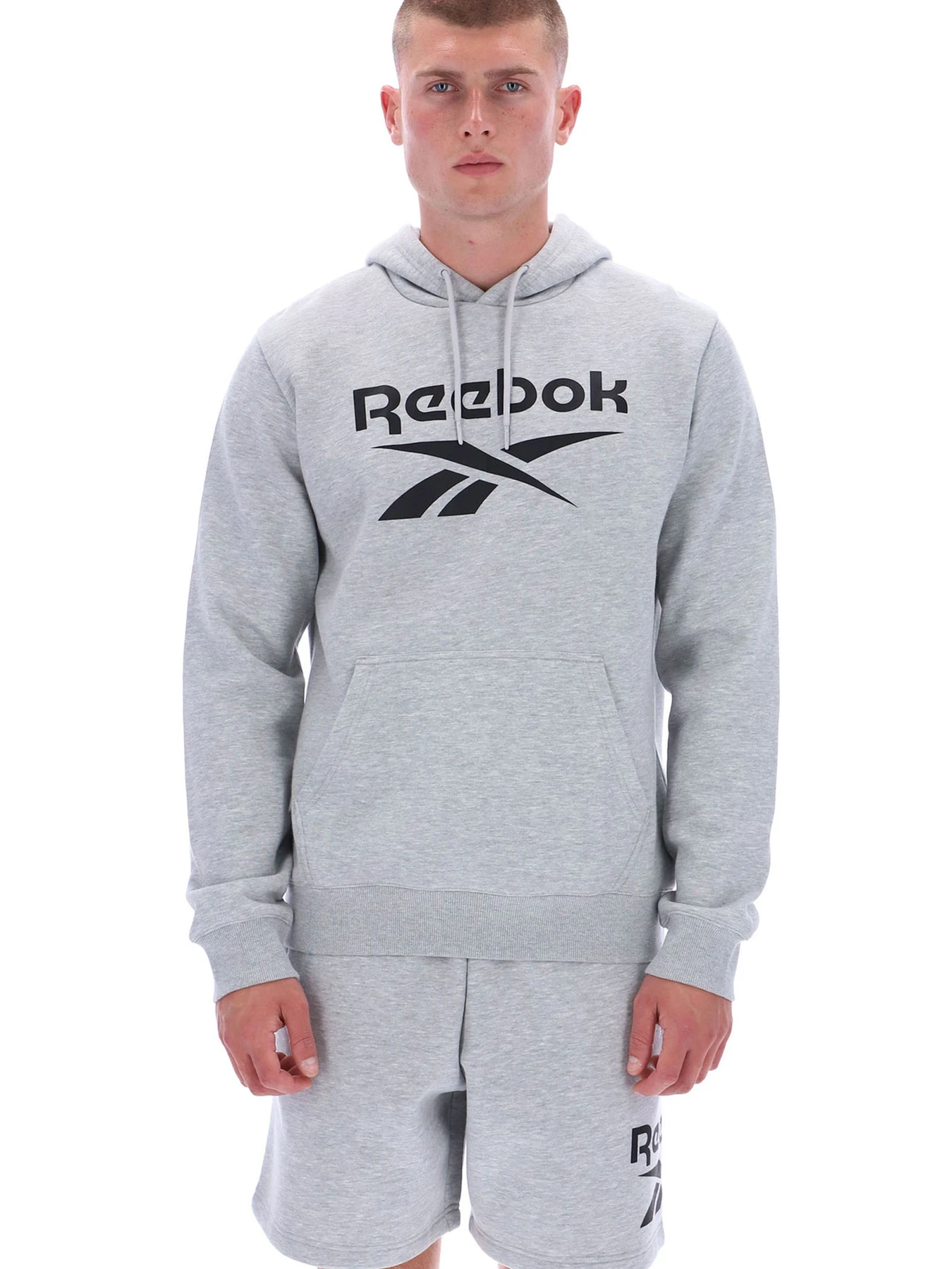 Худи и свитшоты Reebok VICTOR BIG LOGO PULLOVER модель 102248295 Худи и свитшоты Reebok VICTOR BIG LOGO PULLOVER модель 102248295 Фото