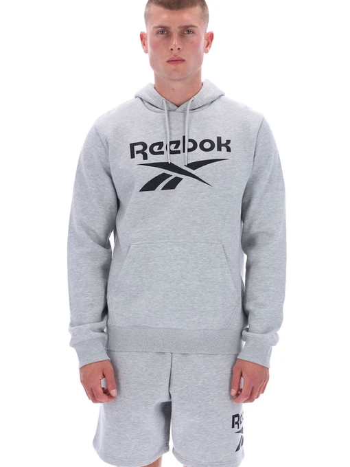 Худи и свитшоты Reebok VICTOR BIG LOGO PULLOVER модель 102248295 Фото
