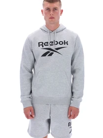 Худи и свитшоты Reebok VICTOR BIG LOGO PULLOVER модель 102248295 Фото