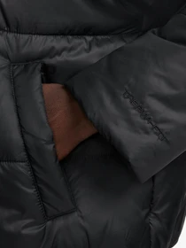 Куртки и дубленки NIKE W NSW TF SYNFL NK CLSC PF модель 102049481 Фото