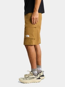 Шорты The North Face модель NF0A8EC71731 Фото